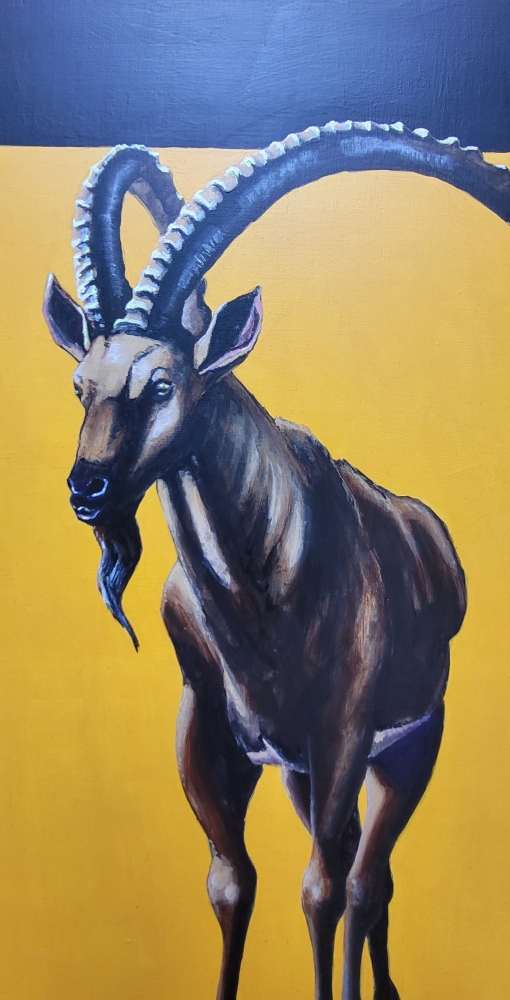 Majestic Ibex