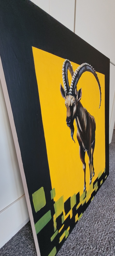 Majestic Ibex