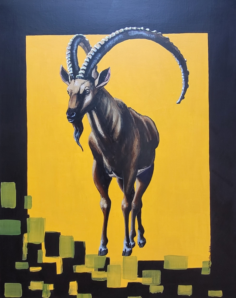 Majestic Ibex