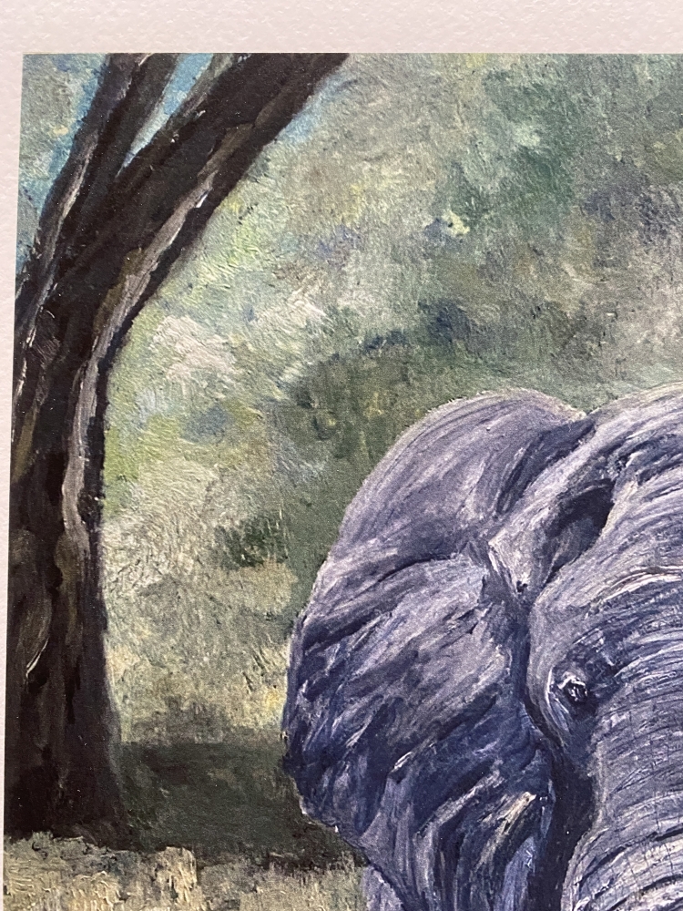 The Elephant's Hope