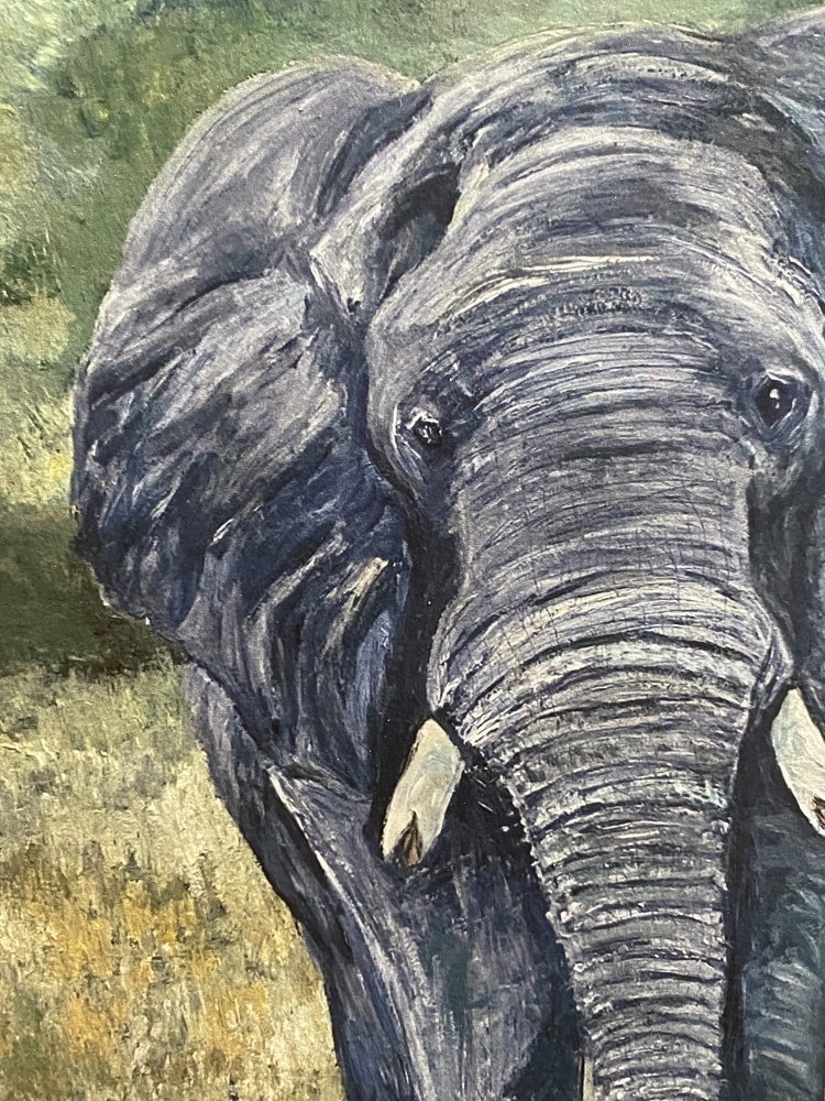 The Elephant's Hope