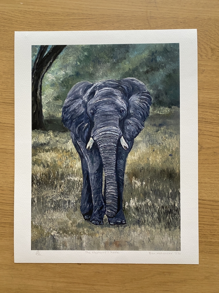 The Elephant's Hope