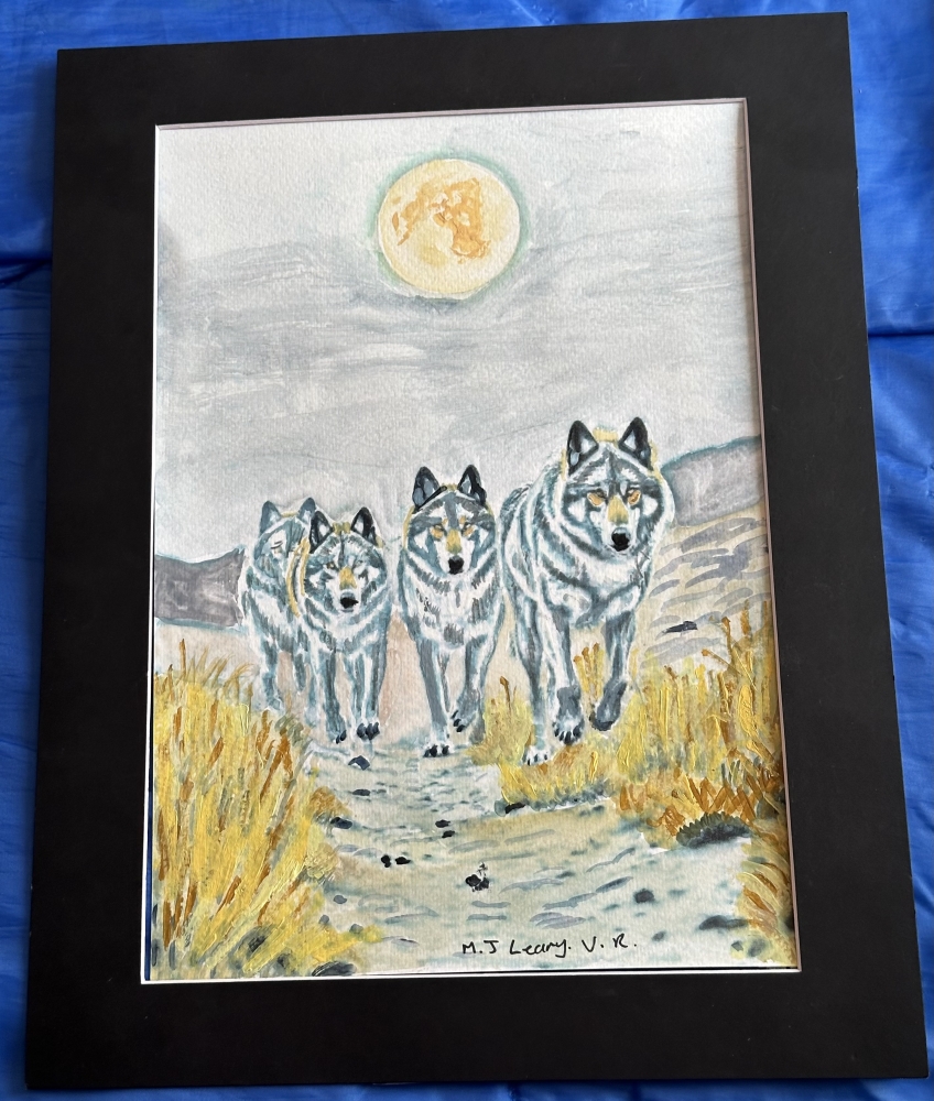 Wolf Pack On the prowl as the moon sets 