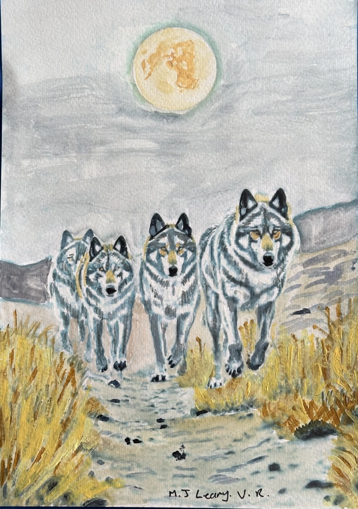 Wolf Pack On the prowl as the moon sets 