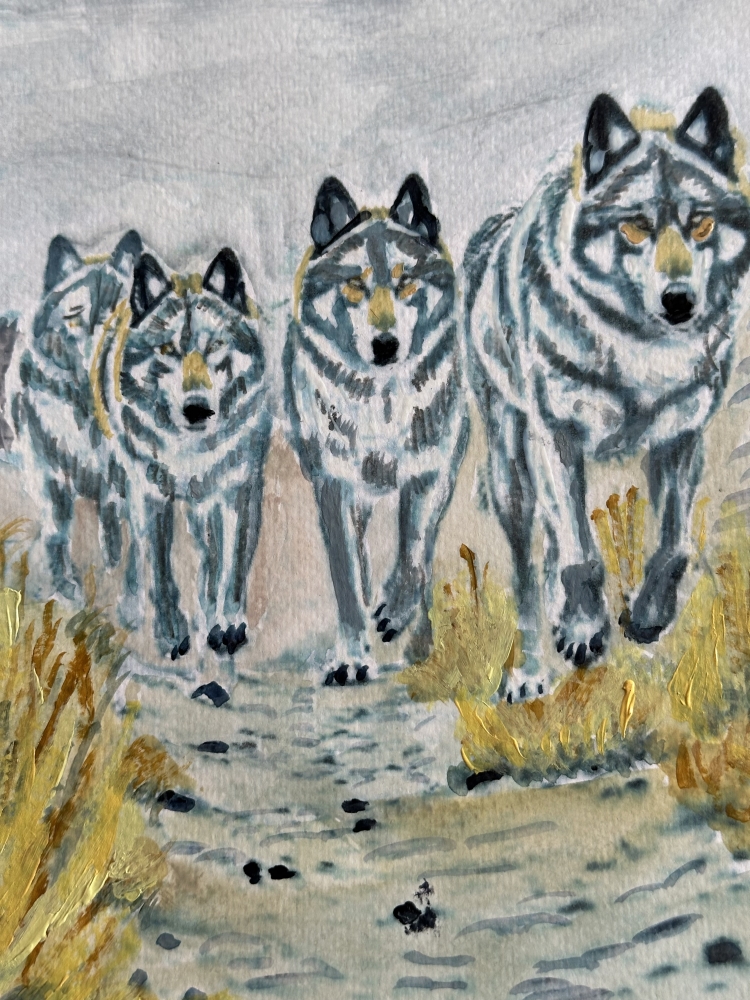 Wolf Pack On the prowl as the moon sets 