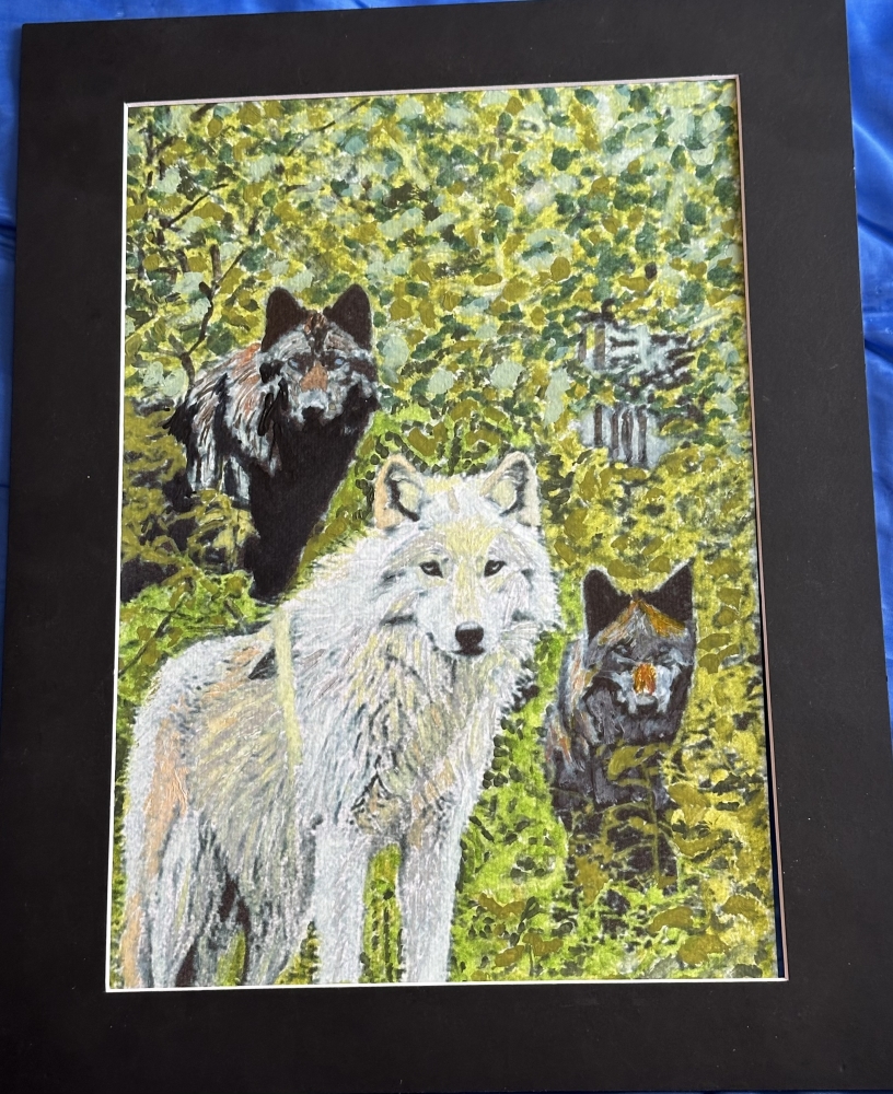 Wolves amongst woodland 