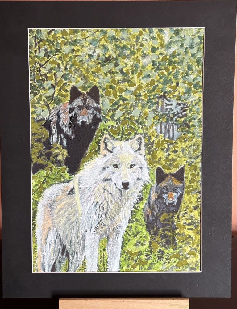 Wolves amongst woodland 