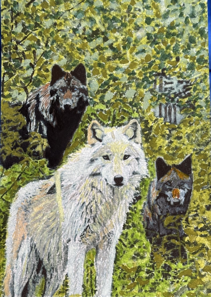 Wolves amongst woodland 