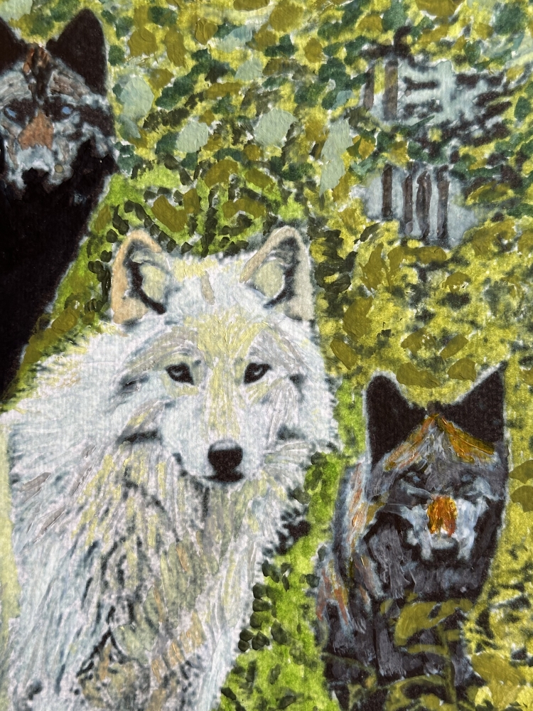 Wolves amongst woodland 