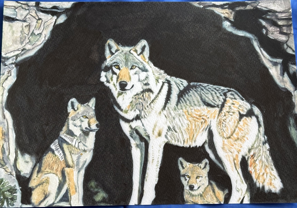 She wolf in Den with Pups 