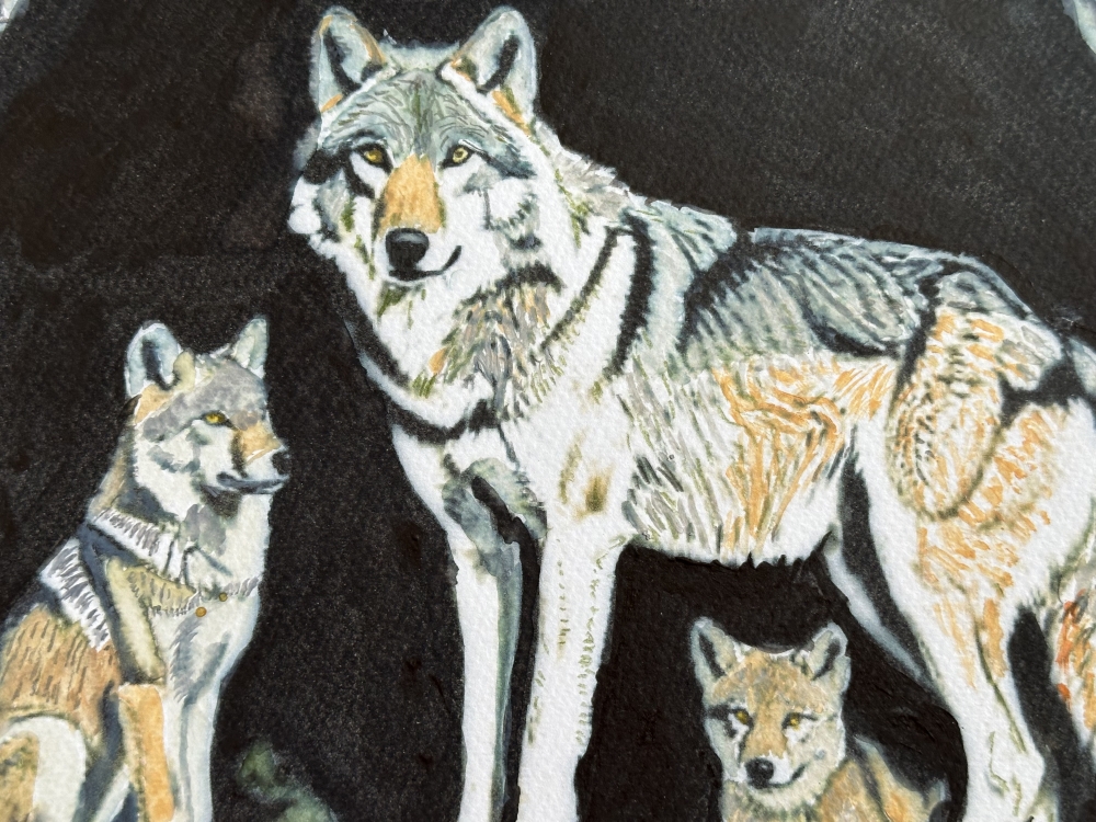 She wolf in Den with Pups 