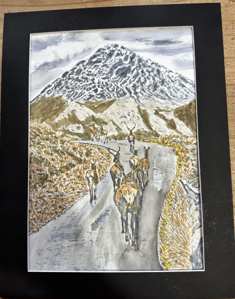 Herd of stags on a ramble  Ben Nevis 