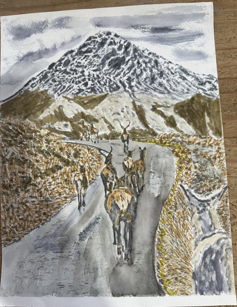 Herd of stags on a ramble  Ben Nevis 