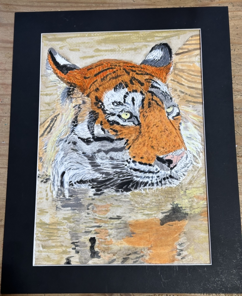 Watercolour swimming tiger frosty 