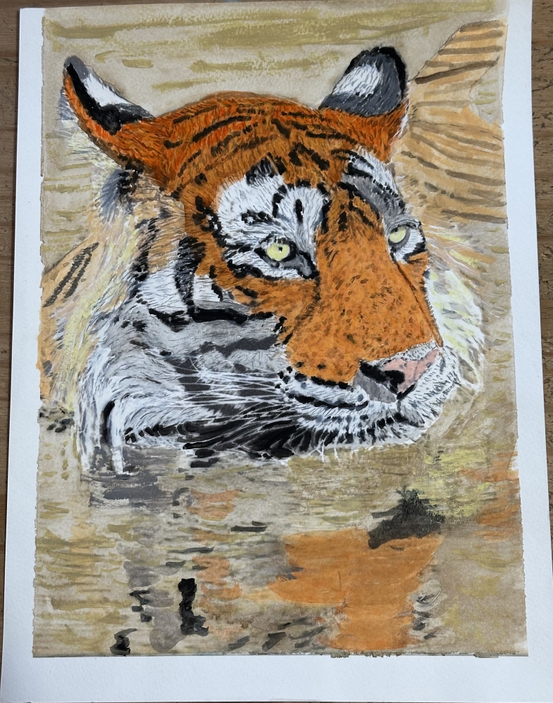 Watercolour swimming tiger frosty 