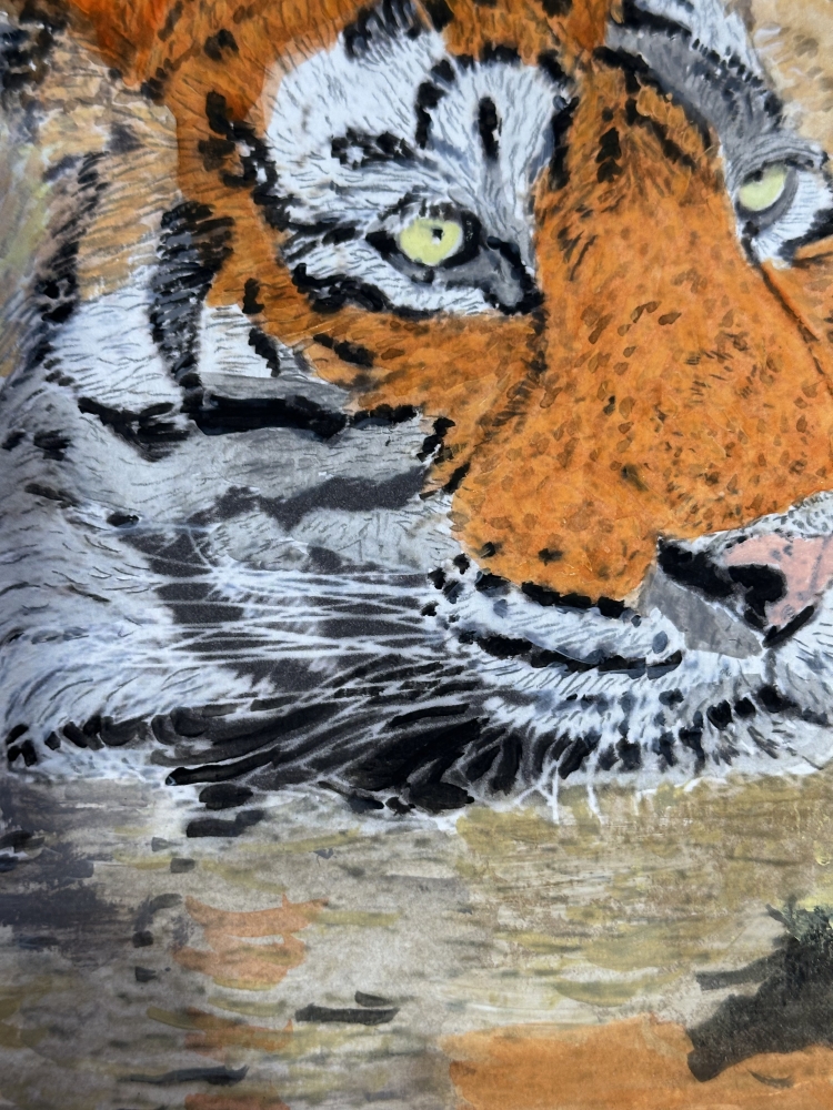 Watercolour swimming tiger frosty 
