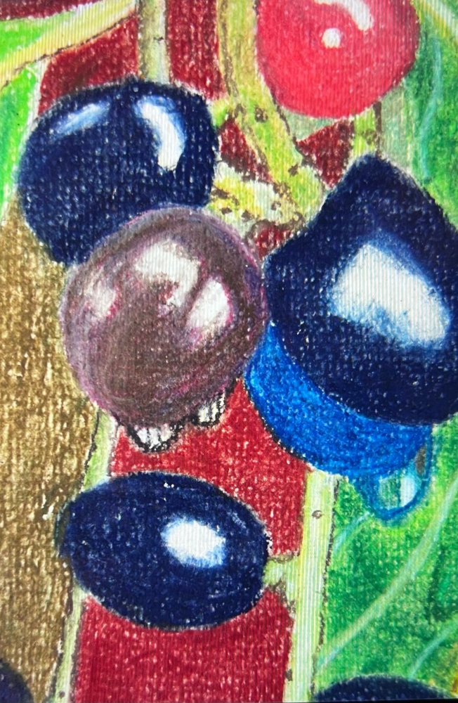 Laurel, Cherries  after a spring shower