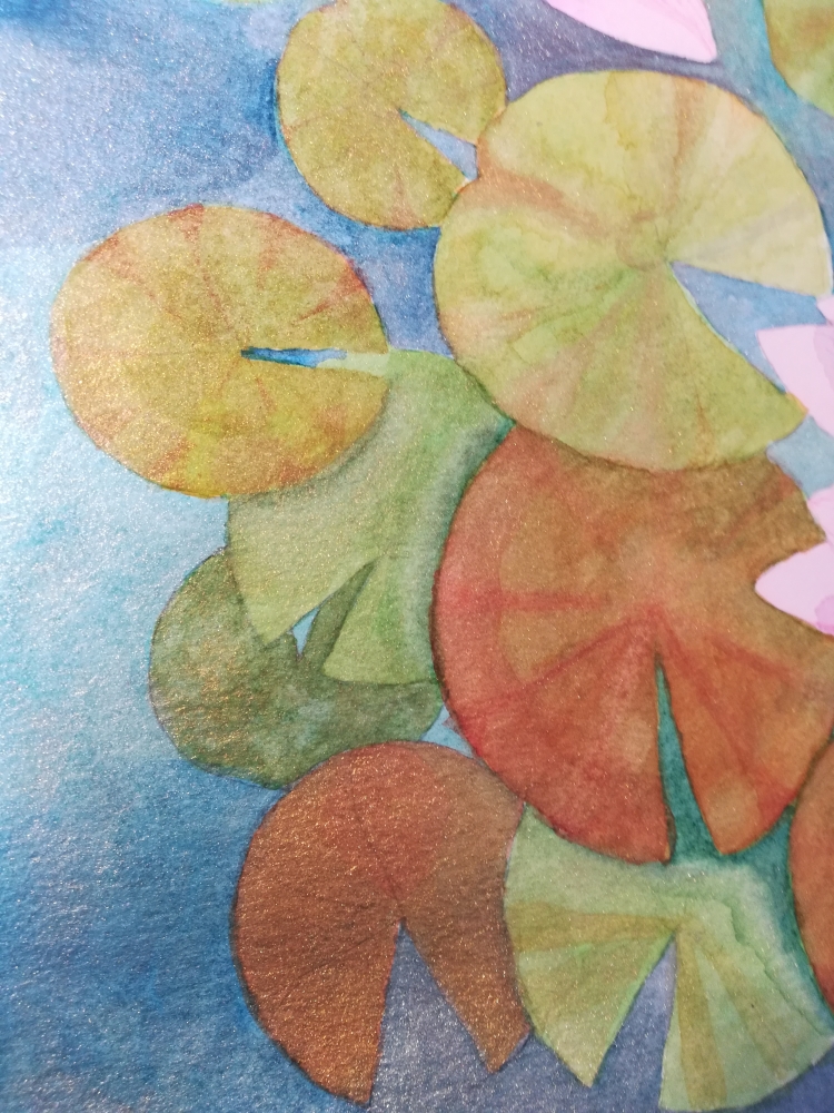 Pink waterlilies on a shimmering pond
