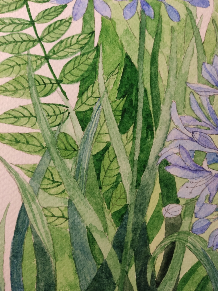 Blue agapanthus watercolour painting 