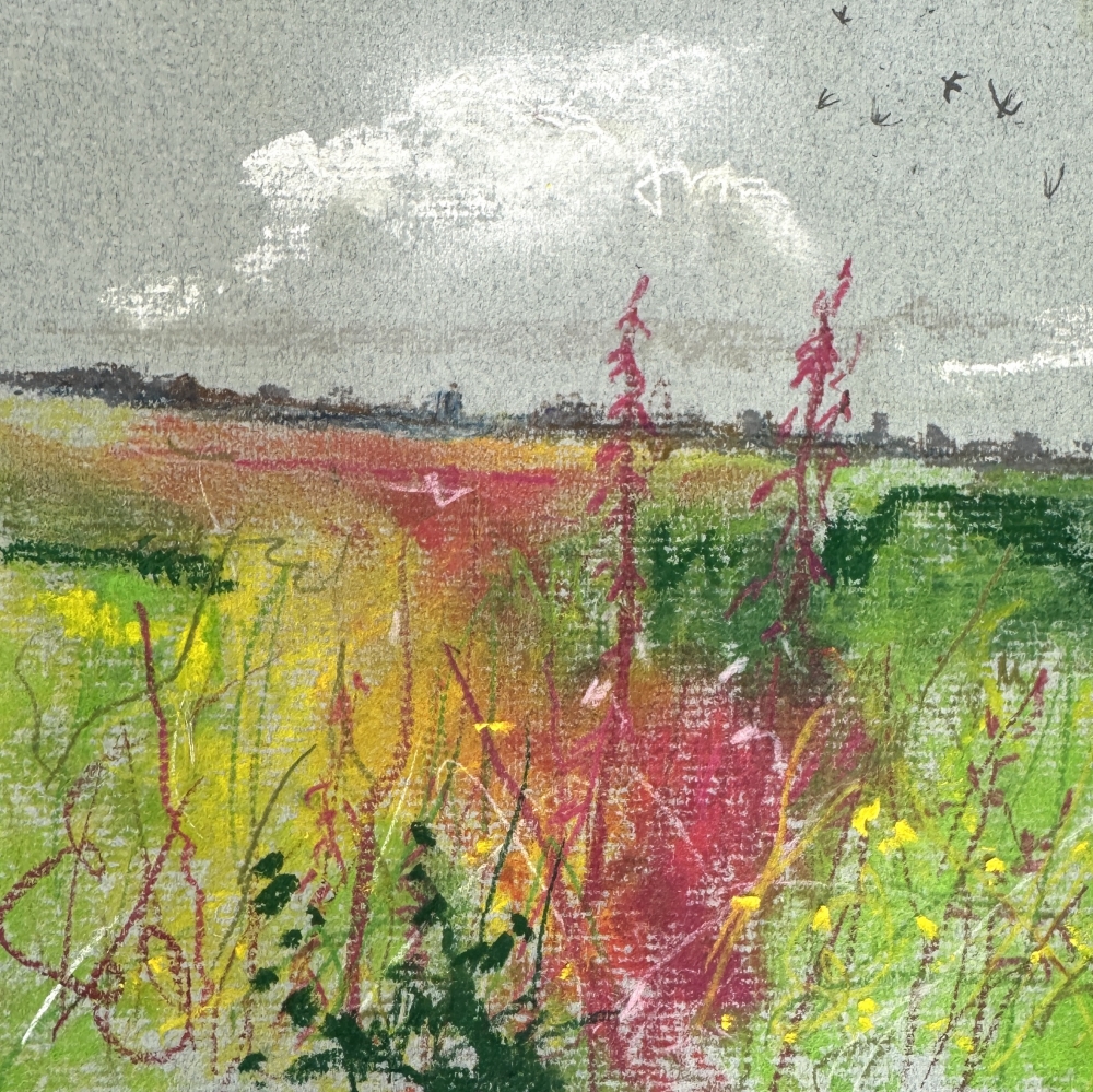Rosebay Willowherb country lane swallows framed