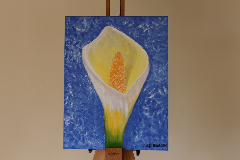 White Calla Lilly 
