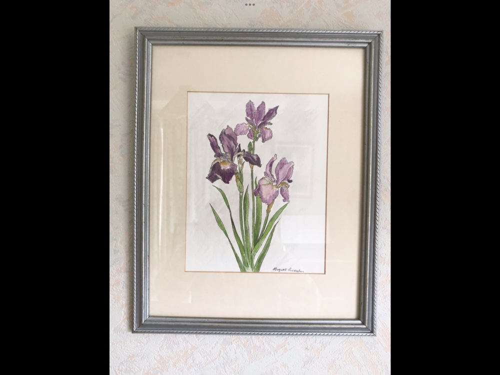 Iris