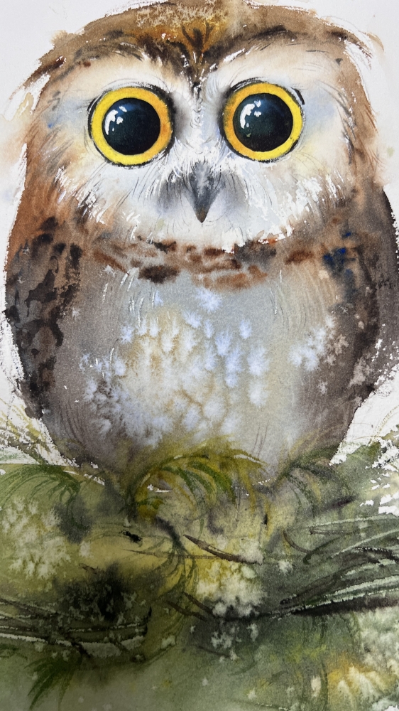 The Curious Owl