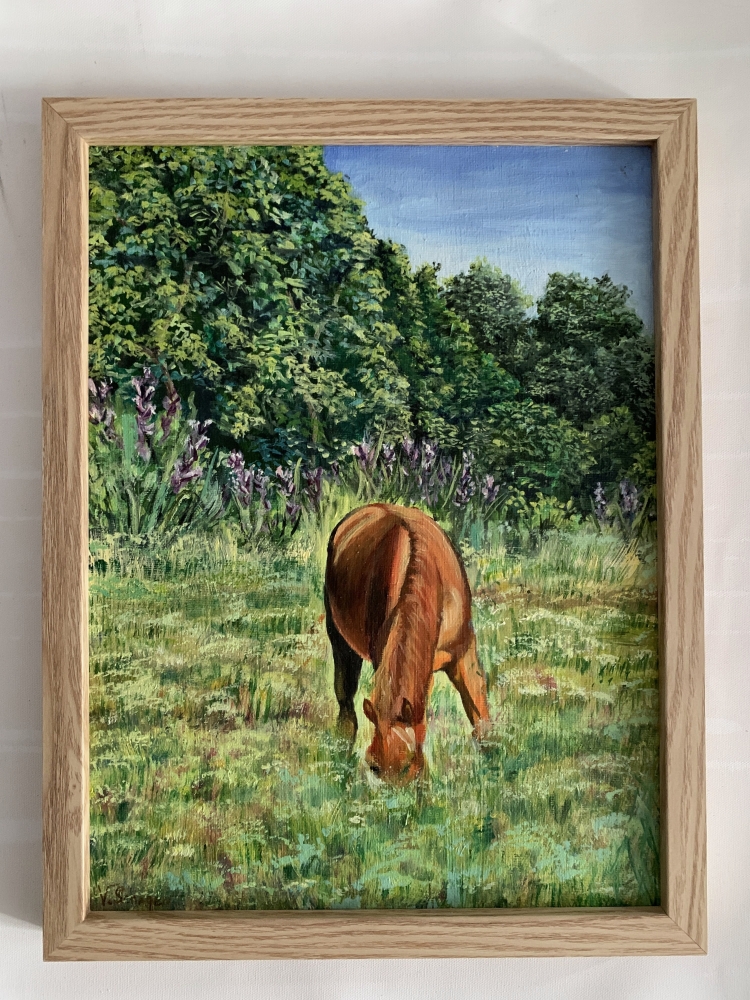 Landscape. Horse in the field.
