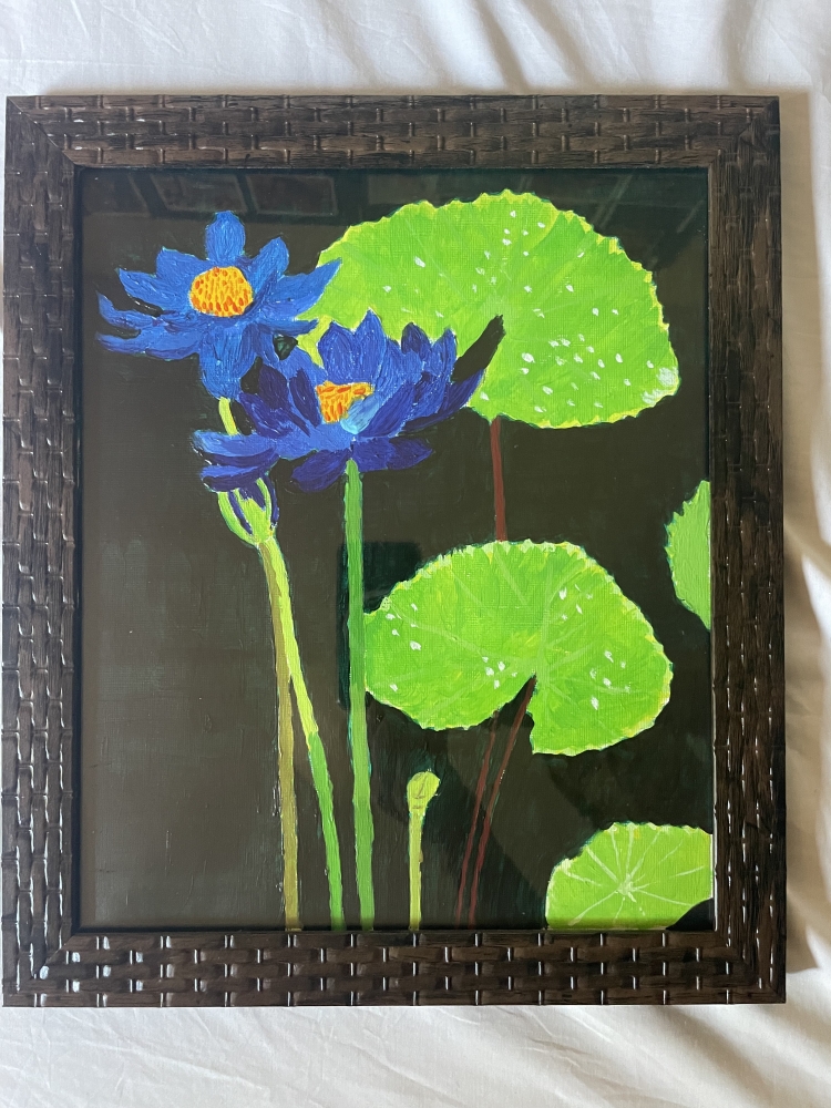 A pair of purplish-blue water lilies 