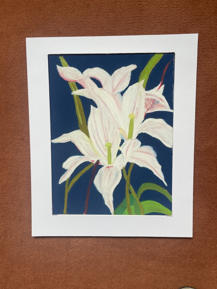 White Lily