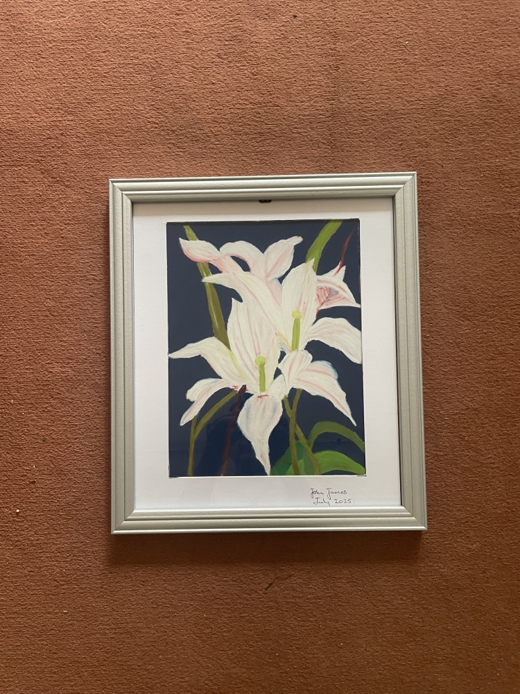 White Lily