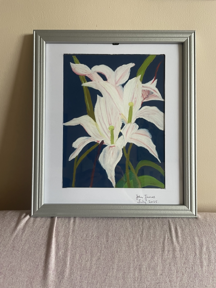 White Lily