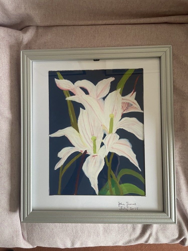 White Lily