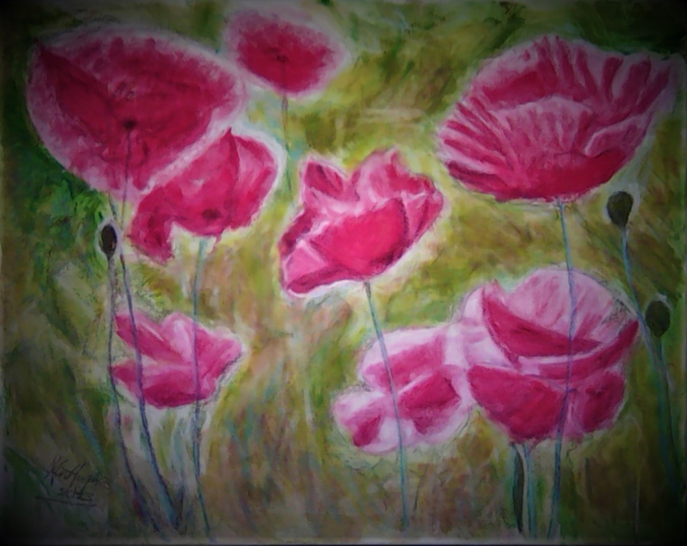 Poppy Day