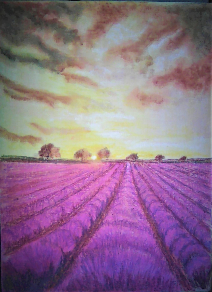 Lavender Dawn