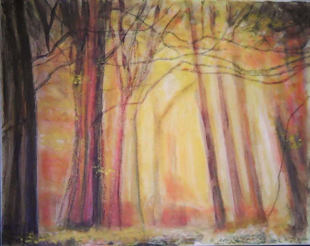 Forrest of light