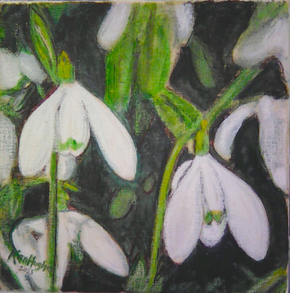 Just Snowdrops