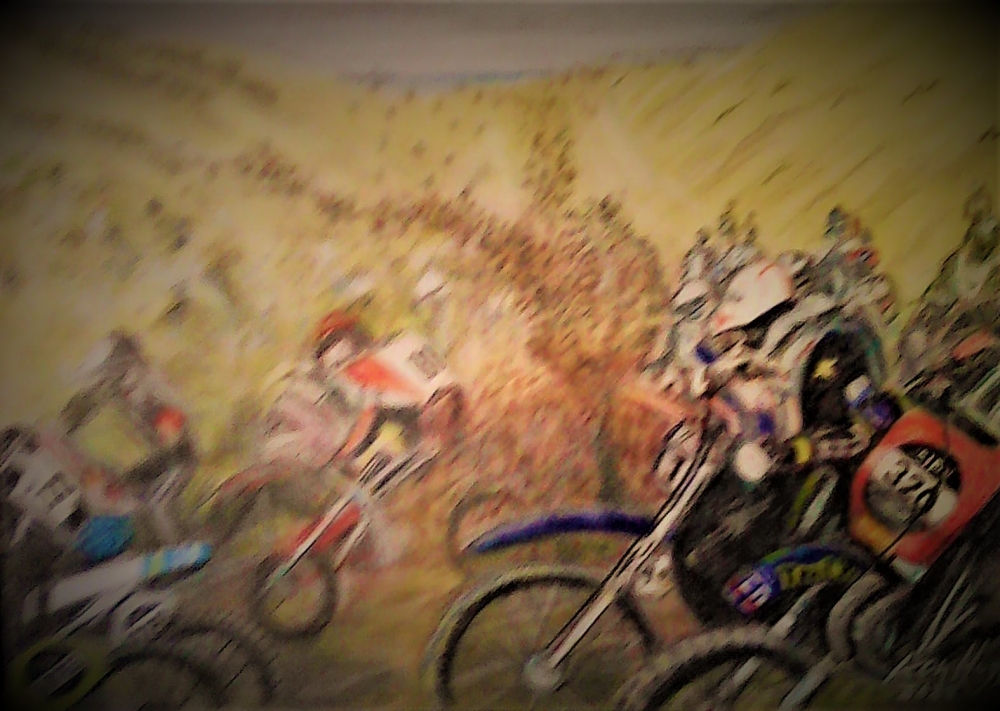 Sand Dune Scrambling