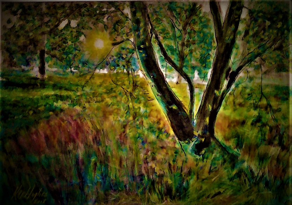Sun thro' the trees