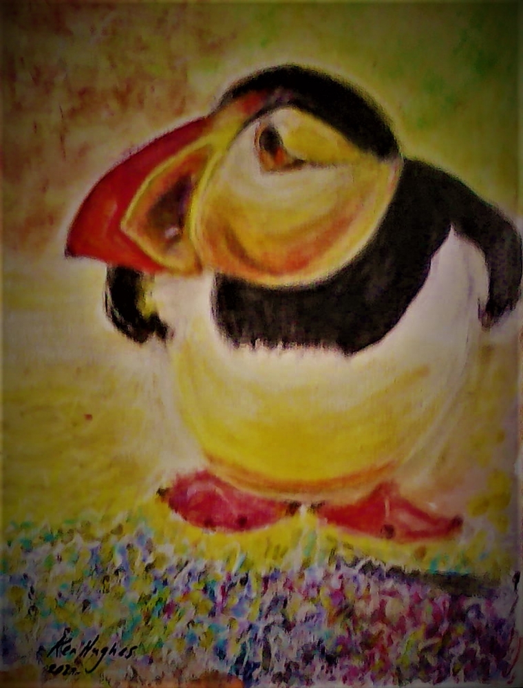 a Proud Puffin