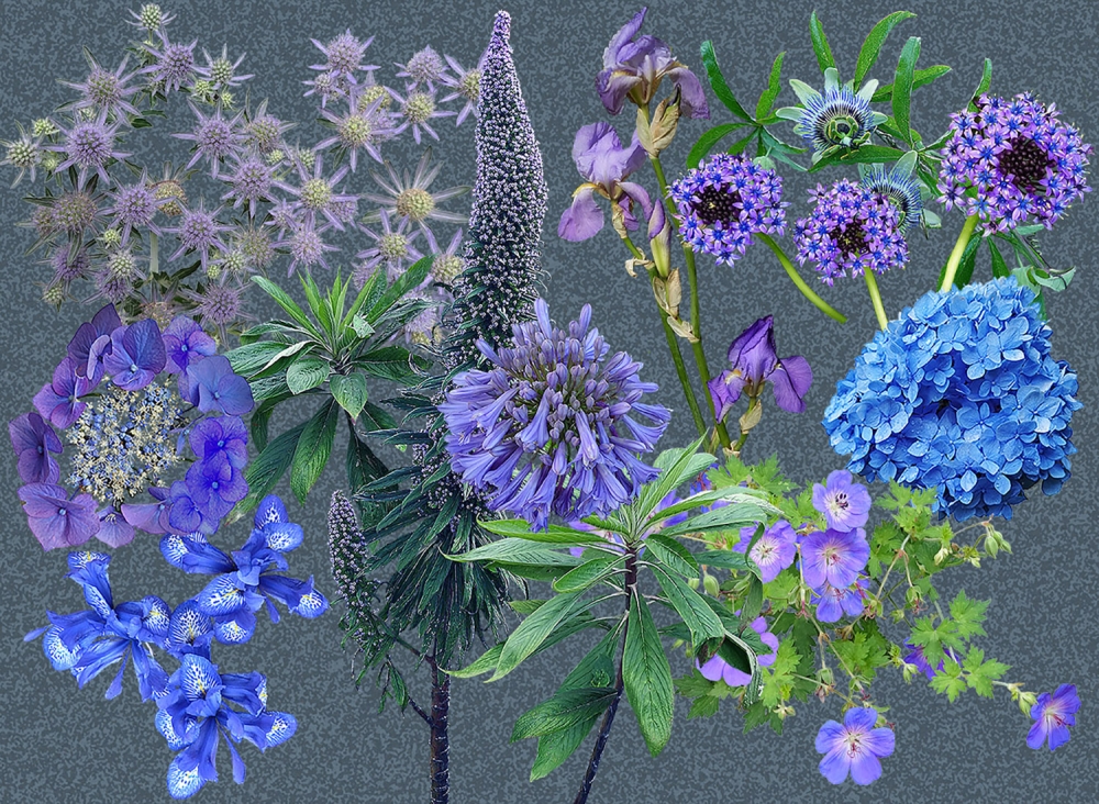 Impressions of Blue - Dark or Light background