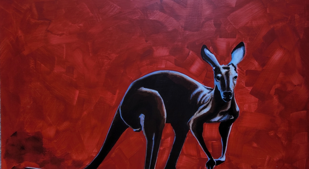Kangaroo on a red background
