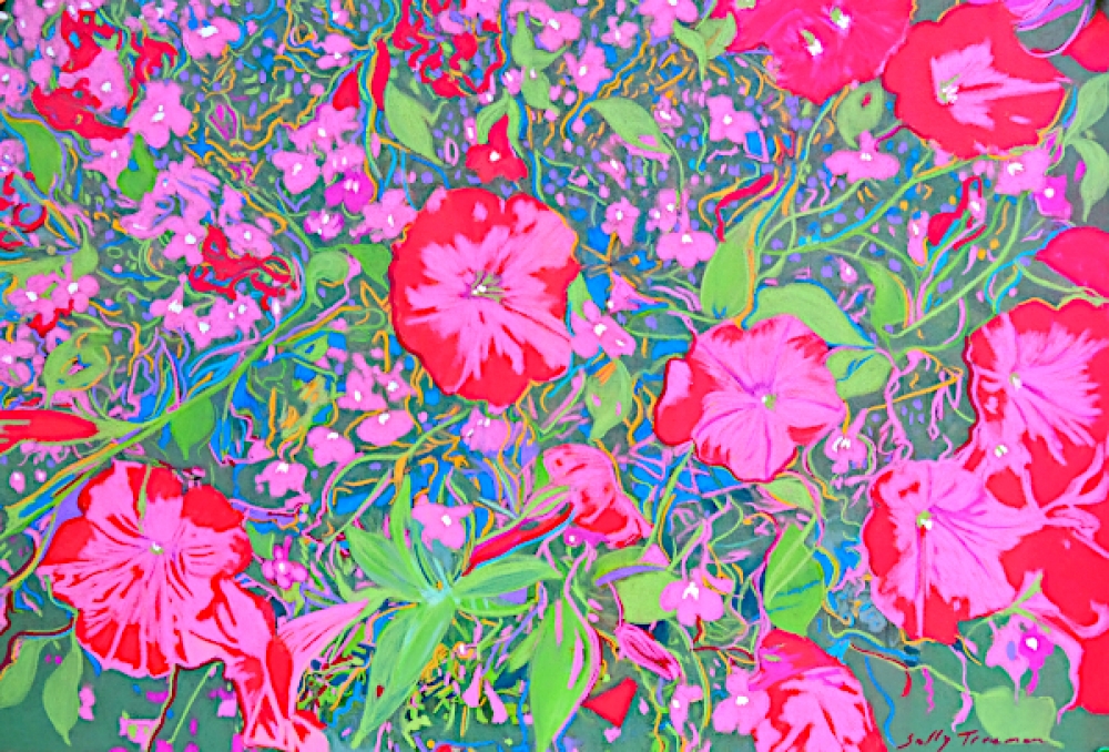 No Room Here Scarlet Petunias