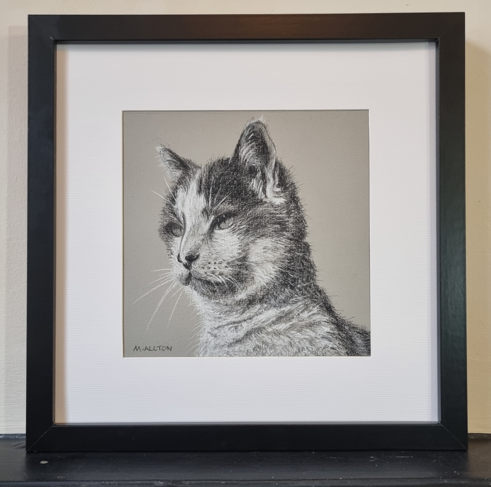 Pebbles - Framed cat portrait drawing