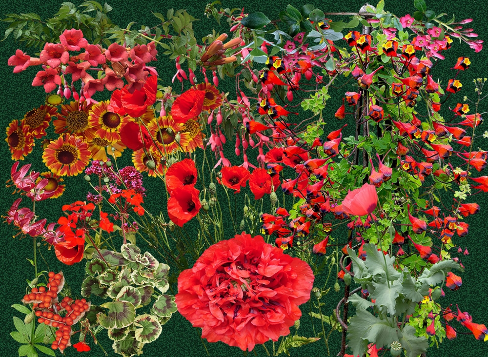 Red Impressions