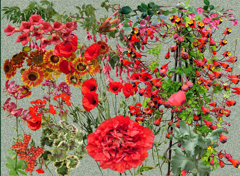 Red Impressions