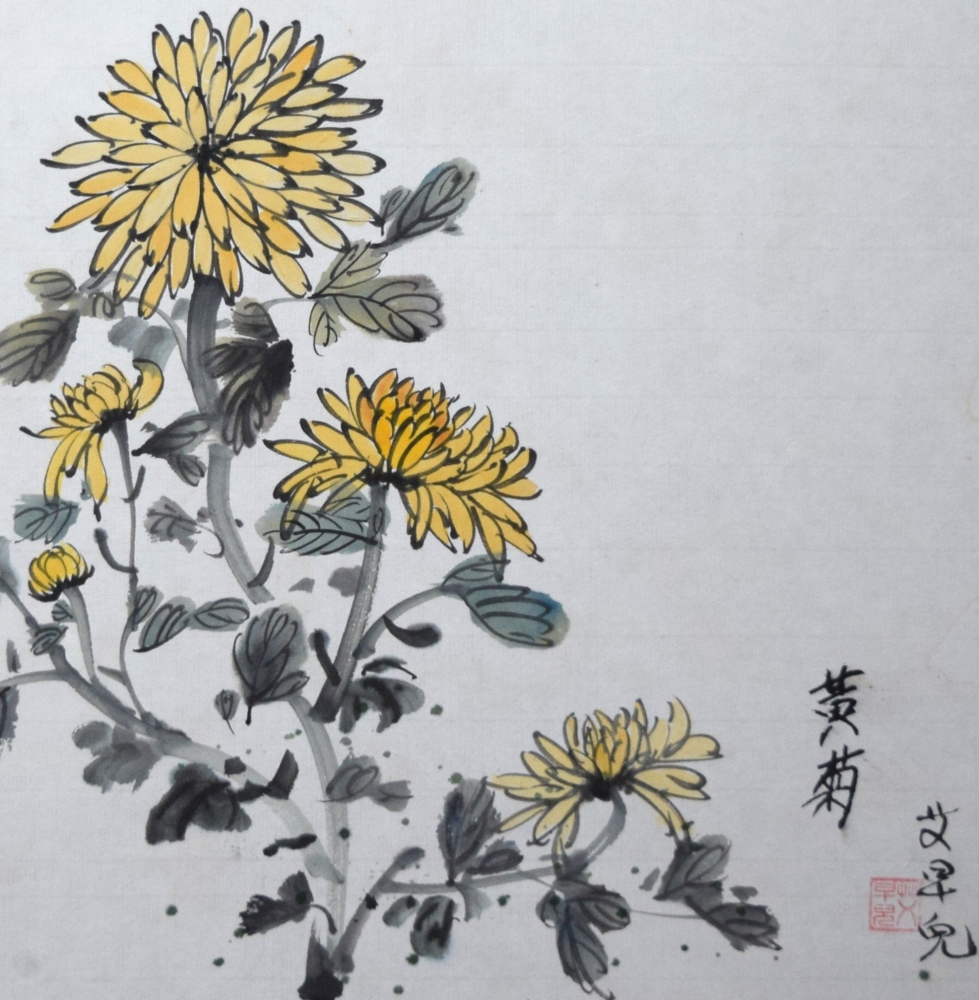 Yellow Chrysanthemum