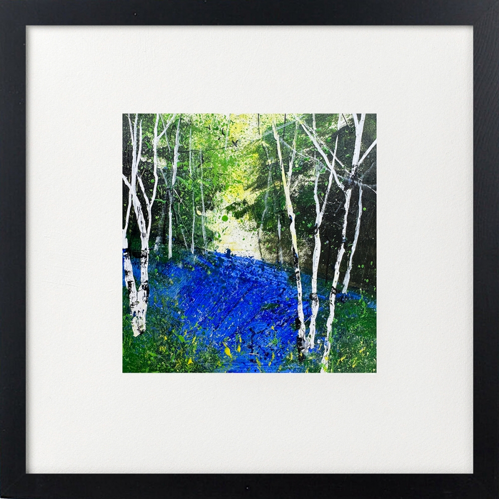 Seasons - Spring Silver Birches, Bluebells