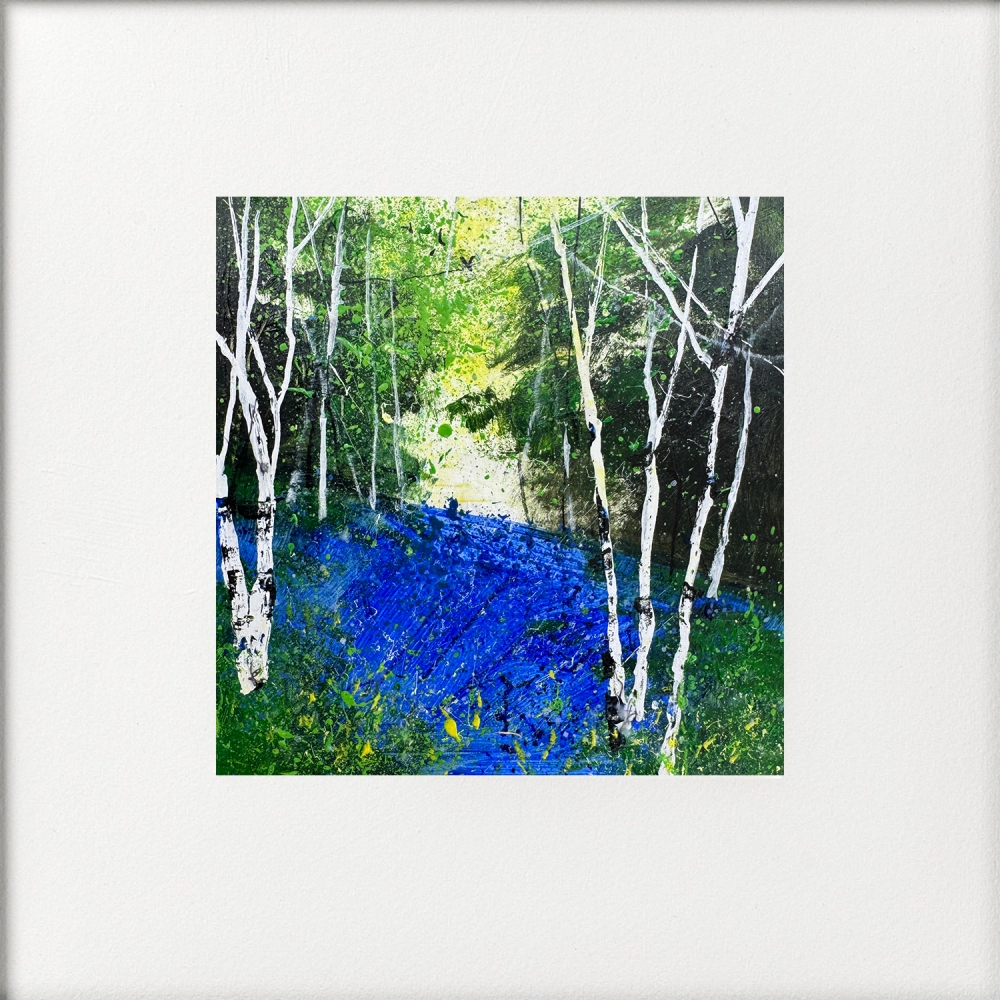 Seasons - Spring Silver Birches, Bluebells