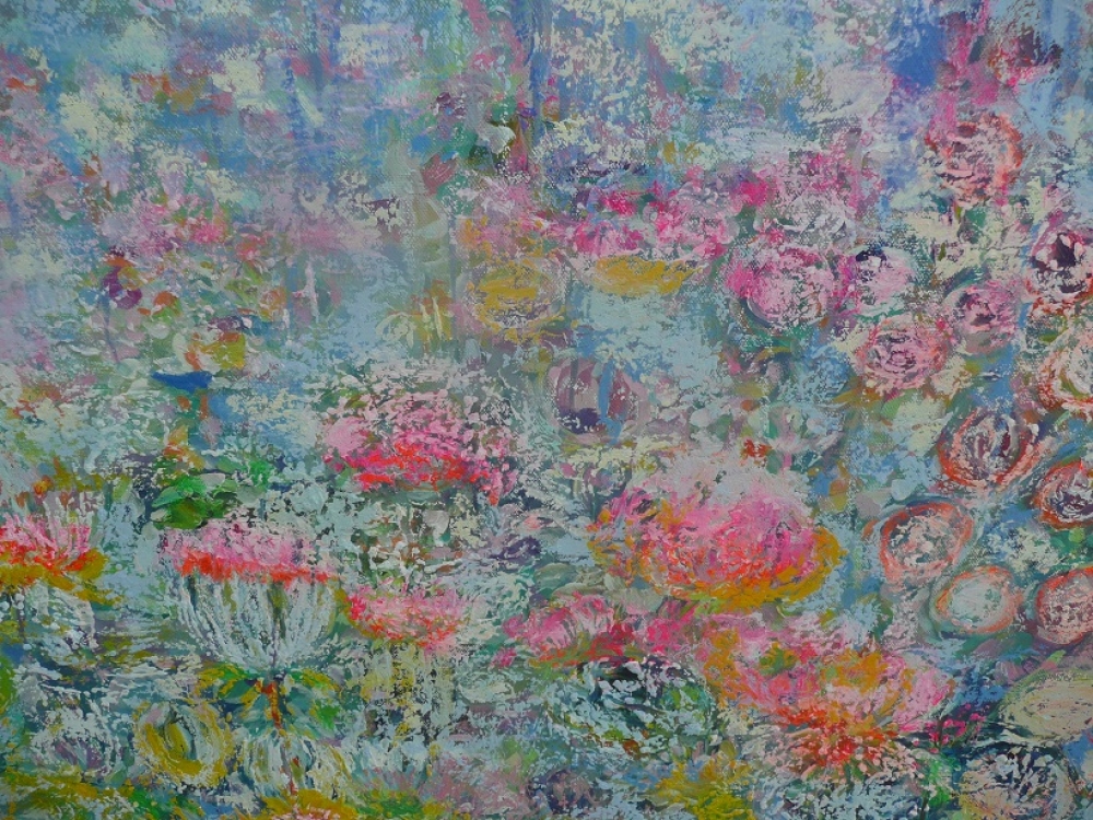 Summer Waterlilies 2025